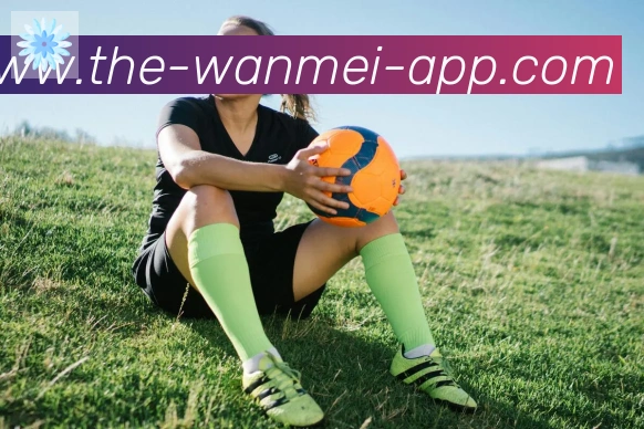 App 示例图
